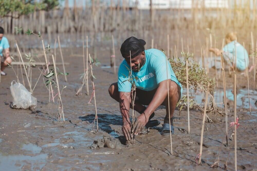 Blue Carbon Reserve: pasión, conciencia y acción por el medio ambiente